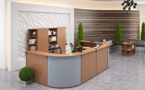 Ресепшен IMAGO-R